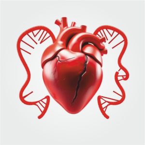 Cardiac Management Blueprint
