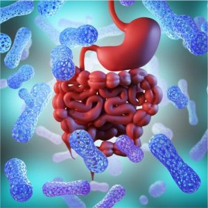 Gut Microbiome Profiling