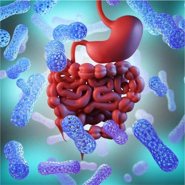 Gut Microbiome Profiling